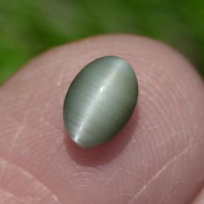 Натуральный зелёный chrysoberyl cat's eye 0,86 карата огранка овал, непрозрачный