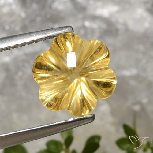 2.78ct Натуральный Глубокое золото Цитрин, Огранка Цветок, Прозрачный