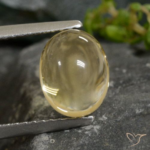 2.52ct Натуральный Светлое золото Цитрин, Овал, Прозрачный