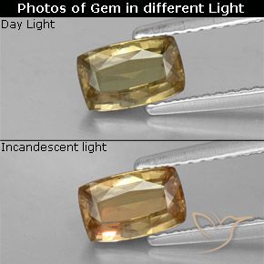 0.87ct Натуральный Золотисто-коричневый Меняющий цвет гранат, Подушка, Чистота VS