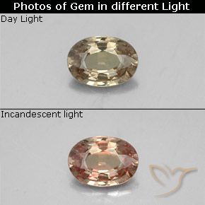 0.52ct Натуральный Золотисто-коричневый Меняющий цвет гранат, Овал, VS-SI