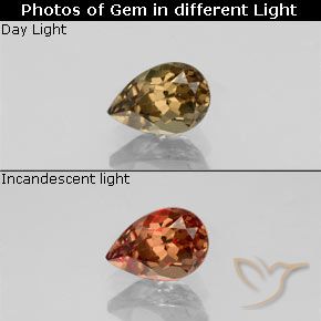 0.61ct Натуральный Золотисто-коричневый Меняющий цвет гранат, Форма груши, VVS-VS