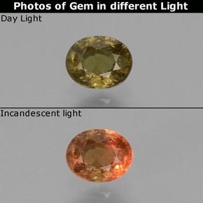 0.55 карата, натуральный Средне-темно-коричневый Меняющий цвет гранат, Огранка Овал, Чистота VS