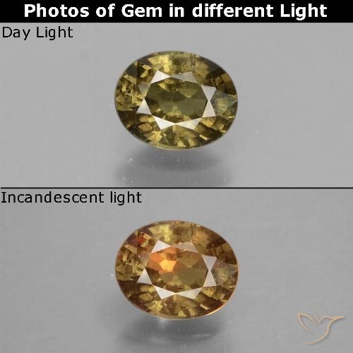 0.85ct Натуральный Средне-темно-коричневый Меняющий цвет гранат, Овал, VS-SI