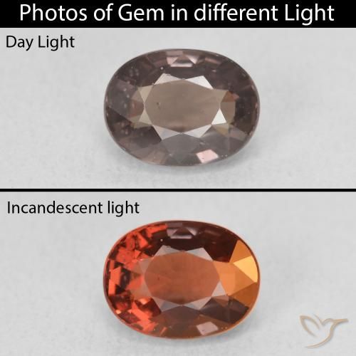1.58ct Натуральный Средний светло-коричневый Меняющий цвет гранат, Овал, VVS-VS