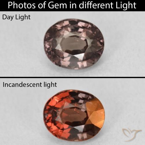 1.36ct Натуральный Темно-коричневый Меняющий цвет гранат, Овал, Чистота VS