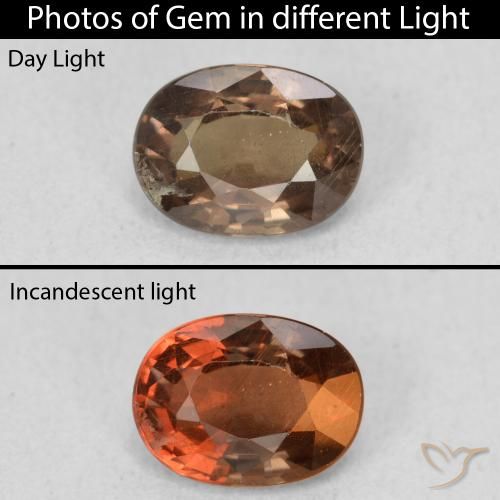 1.16ct Натуральный Темно-коричневый Меняющий цвет гранат, Овал, Чистота VS