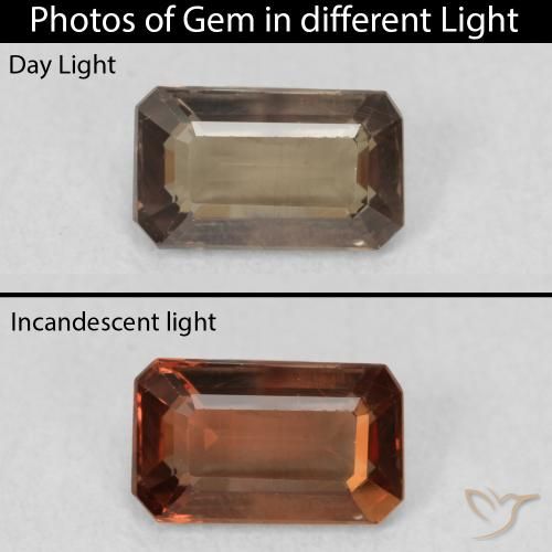1.02ct Натуральный Medium Dark-Brown Меняющий цвет гранат, Изумрудная огранка, Чистота VS