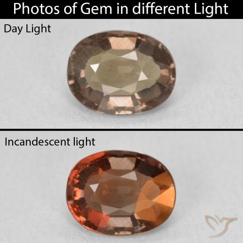1.32ct Натуральный Темно-коричневый Меняющий цвет гранат, Овал, VVS-VS