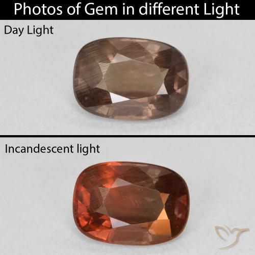 1.50ct Натуральный Темно-коричневый Меняющий цвет гранат, Подушка, Чистота VS