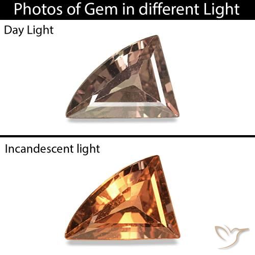 0.30ct Темно-коричневый Сапфир, меняющий цвет, причудливая, VVS-VS