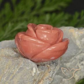 14.58 карата, натуральный Salmon Pink   Коралловый, причудливая, Непрозрачный