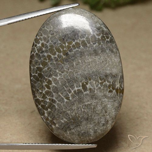 41.43ct Натуральный Многоцветный коралловый, Овал, Непрозрачный