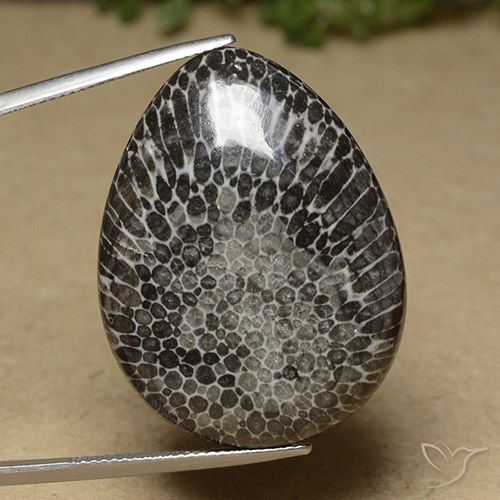 46.04ct Натуральный Многоцветный коралловый, Форма груши, Непрозрачный