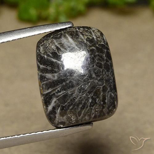 11.07ct Натуральный Многоцветный коралловый, Подушка, Непрозрачный