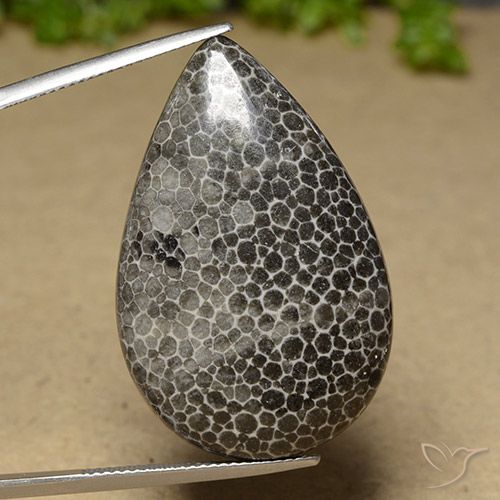 39.93ct Натуральный Многоцветный коралловый, Форма груши, Непрозрачный