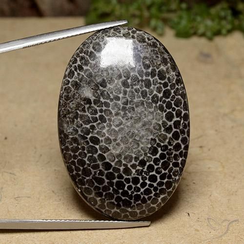 43.96ct Натуральный Многоцветный коралловый, Овал, Непрозрачный
