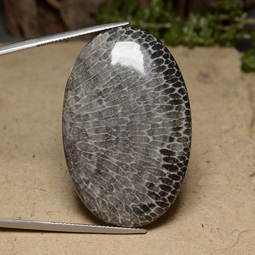 58.69ct Натуральный Многоцветный Коралловый, Овал, Непрозрачный, Photo A