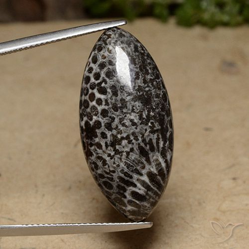 20.70ct Натуральный Многоцветный коралловый, Маркиза, Непрозрачный