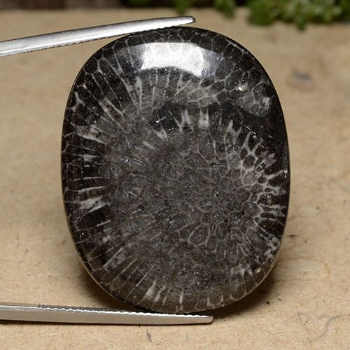 39.77ct Натуральный Многоцветный коралловый, Подушка, Непрозрачный