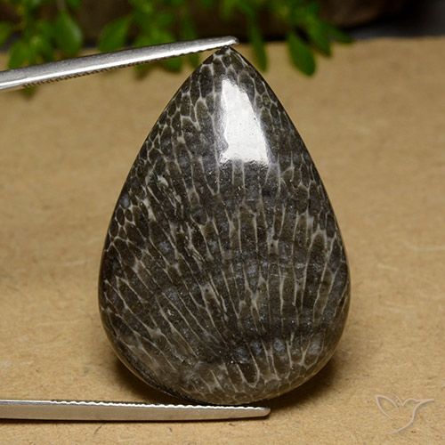 34.89ct Натуральный Многоцветный коралловый, Форма груши, Непрозрачный
