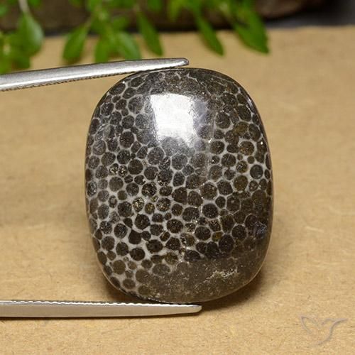 28.32ct Натуральный Многоцветный коралловый, Подушка, Непрозрачный