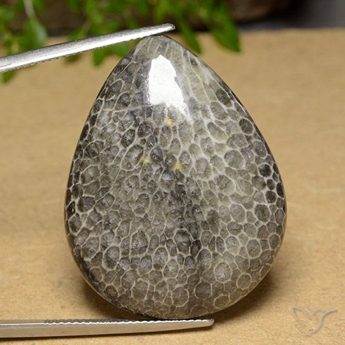 45.60ct Натуральный Многоцветный коралловый, Форма груши, Непрозрачный