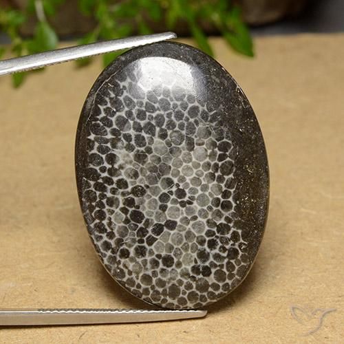 31.69ct Натуральный Многоцветный коралловый, Овал, Непрозрачный
