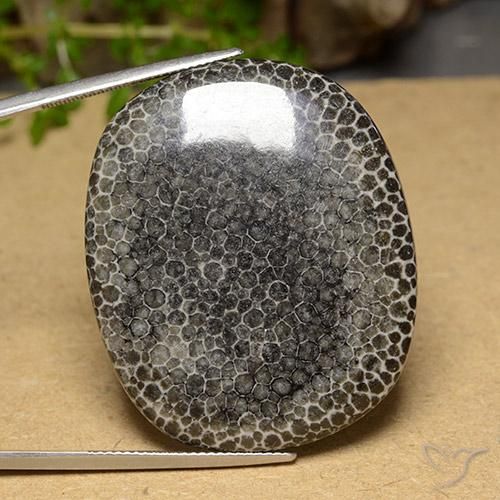 63.14ct Натуральный Многоцветный коралловый, Подушка, Непрозрачный