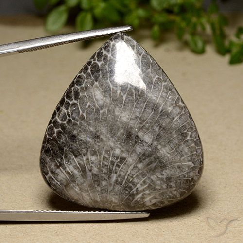 42.36ct Натуральный Многоцветный коралловый, Форма груши, Непрозрачный