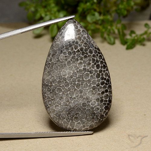 42.17ct Натуральный Многоцветный коралловый, Форма груши, Непрозрачный