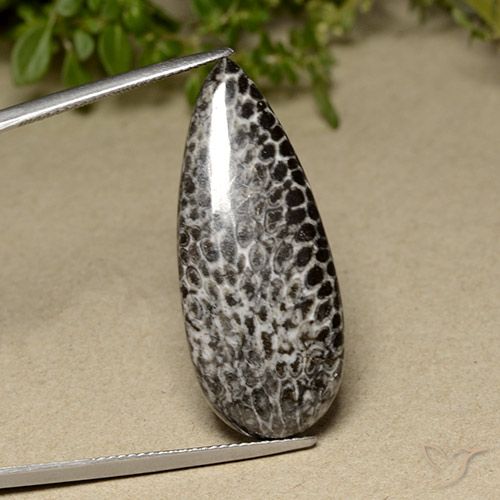 21.91ct Натуральный Многоцветный коралловый, Форма груши, Непрозрачный