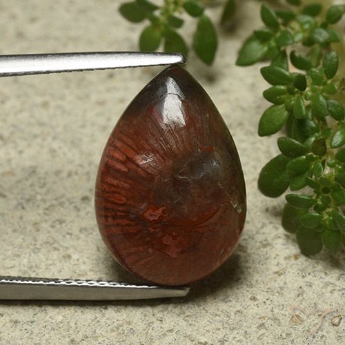 7.03ct Натуральный Многоцветный коралловый, Форма груши, Непрозрачный