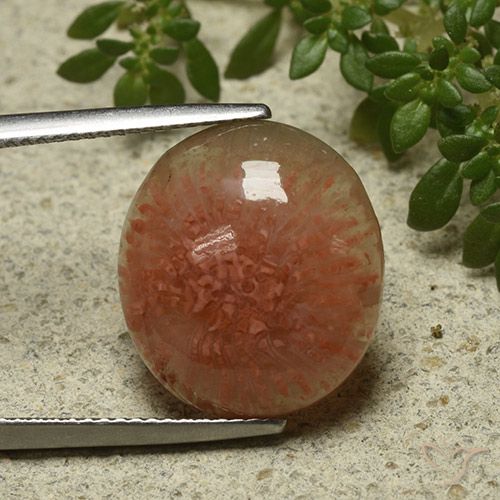 9.34ct Натуральный Многоцветный коралловый, Овал, Полупрозрачный
