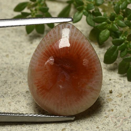 11.86ct Натуральный Многоцветный коралловый, Форма груши, Полупрозрачный