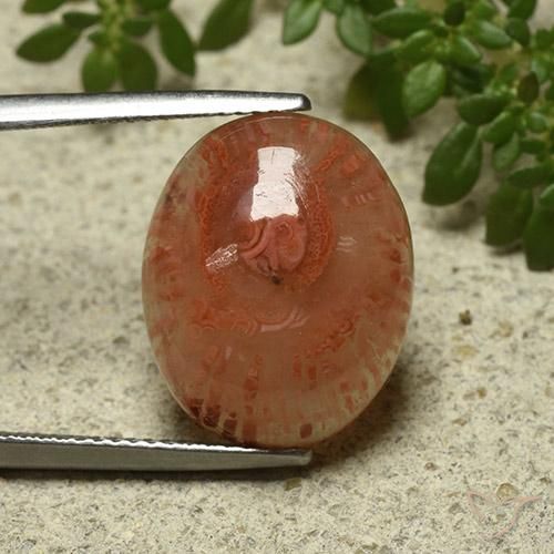 9.87ct Натуральный Многоцветный коралловый, Овал, Полупрозрачный