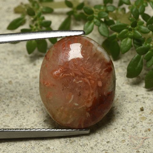 9.58ct Натуральный Многоцветный коралловый, Овал, Полупрозрачный