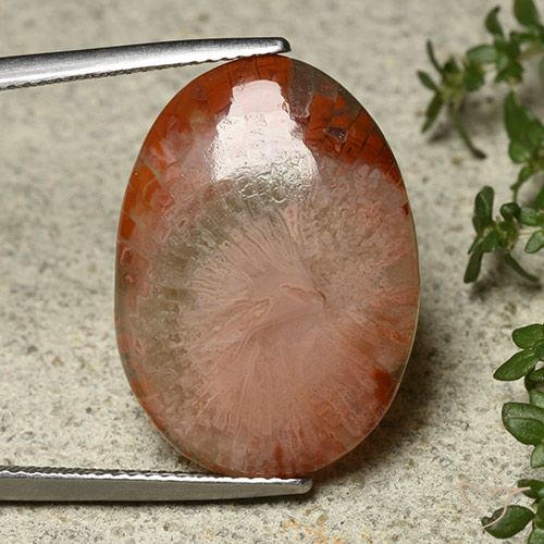 12.10ct Натуральный Многоцветный коралловый, Овал, Полупрозрачный