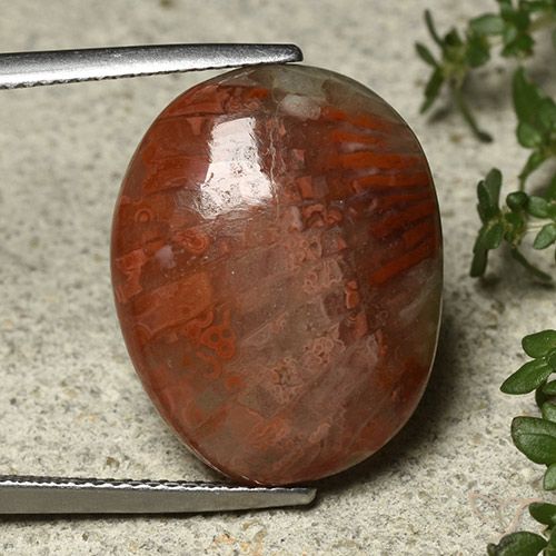 14.74ct Натуральный Многоцветный Коралловый, Овал, Непрозрачный