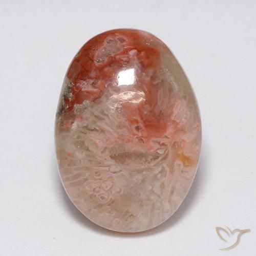 8.90ct Натуральный Многоцветный коралловый, Овал, Непрозрачный