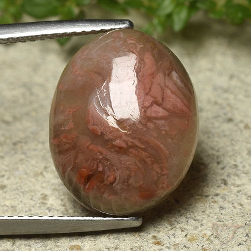 9.92ct Натуральный Многоцветный коралловый, Овал, Полупрозрачный