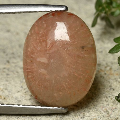 7.45ct Натуральный Многоцветный коралловый, Овал, Полупрозрачный