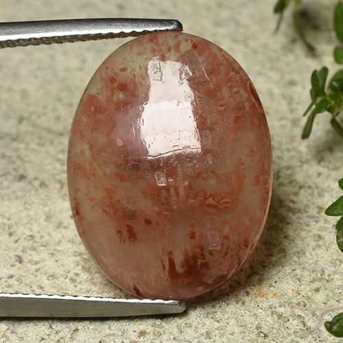 9.08ct Натуральный Многоцветный коралловый, Овал, Полупрозрачный