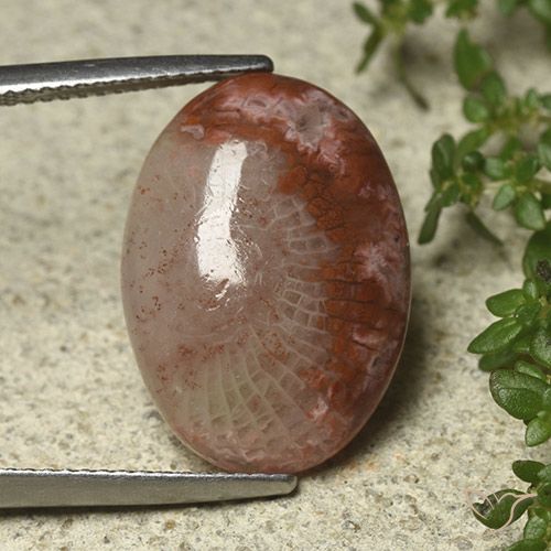 8.52ct Натуральный Многоцветный коралловый, Овал, Полупрозрачный