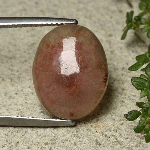 8.30ct Натуральный Многоцветный коралловый, Овал, Полупрозрачный