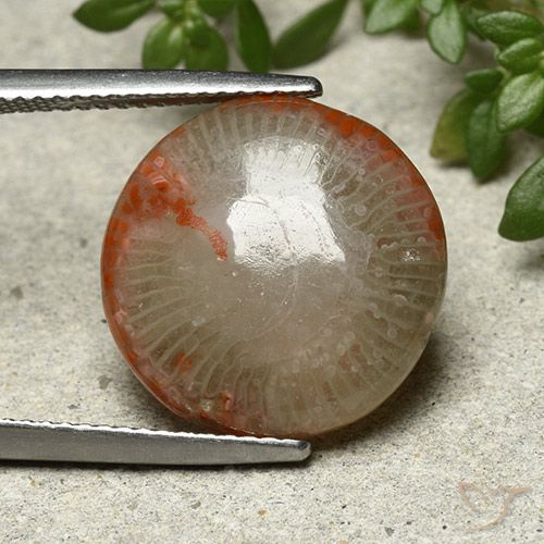 7.80ct Натуральный Многоцветный коралловый, Круглый, Непрозрачный