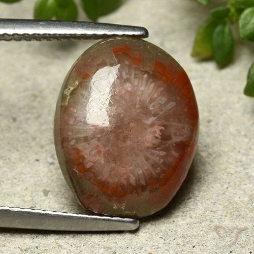 7.03ct Натуральный Многоцветный коралловый, Овал, Непрозрачный