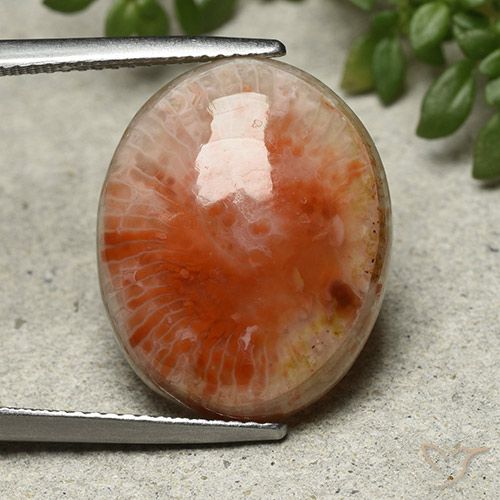 13.21ct Натуральный Многоцветный коралловый, Овал, Непрозрачный