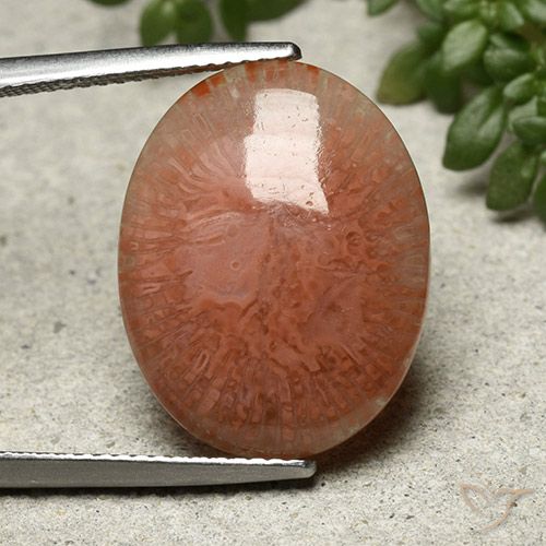 9.51ct Натуральный Многоцветный коралловый, Овал, Полупрозрачный
