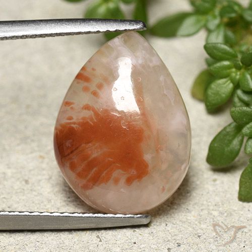 6.43ct Натуральный Многоцветный коралловый, Форма груши, Полупрозрачный